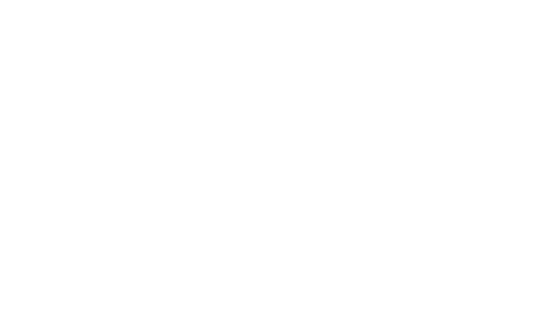 grochowica-white-logo